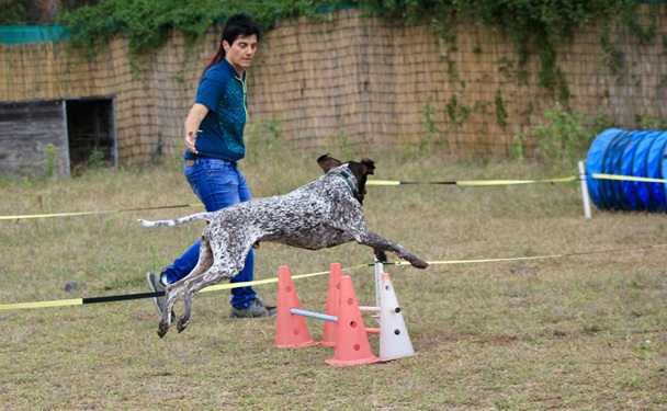 Hundetrainerin-Silvia-Di-Jorio-mit-Django beim Dummytraining