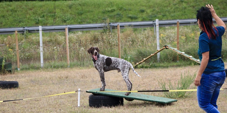 Hundetrainerin Silvia Di Jorio mit Django beim Longieren