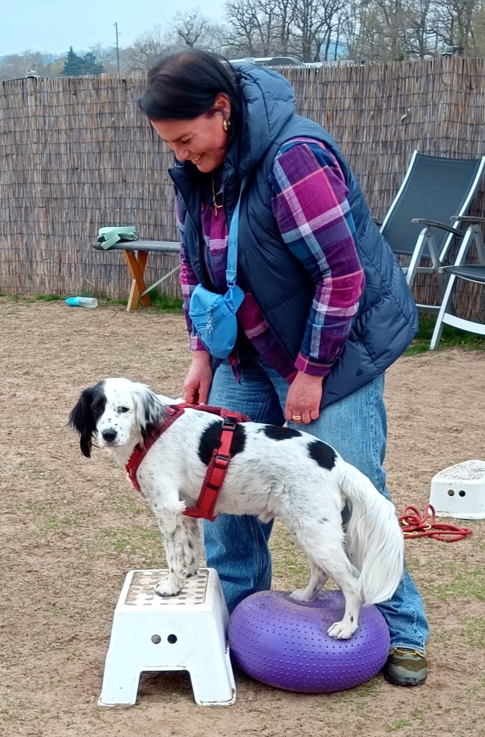 Dummytraining mit Django in der Hundeschule in St- Leon Rot