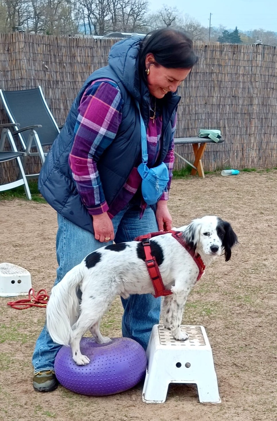 Kunde von Hundetrainerin-Silvia-Di-Jorio-beim Degility