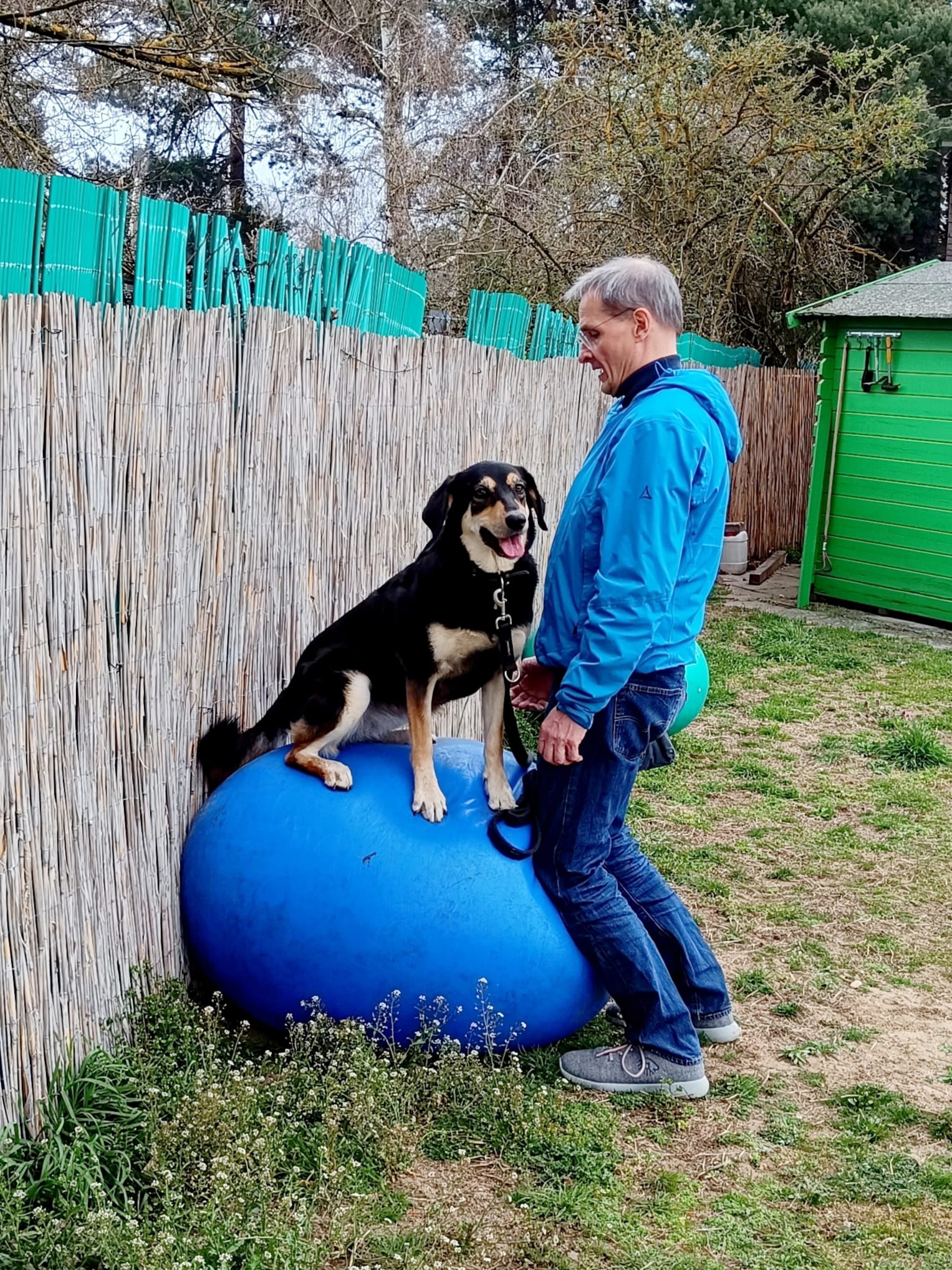 Dummytraining mit Django in der Hundeschule in St- Leon Rot